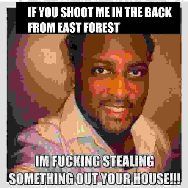 304045913_eastforestmemesmall.thumb.jpg.f92baf751a88caebc9a6d940843c3601.jpg