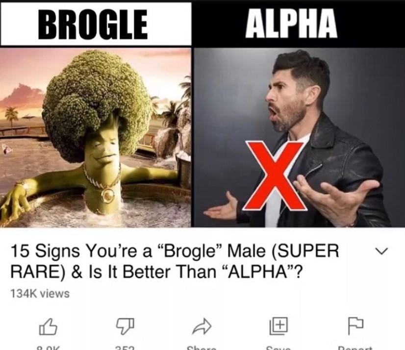 brogle.jpg.248ef891e9bb6ea587e9ef08c851f753.jpg