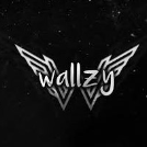 Wallzy