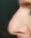 Wudy