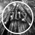 nbx