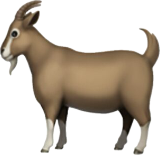 Goat